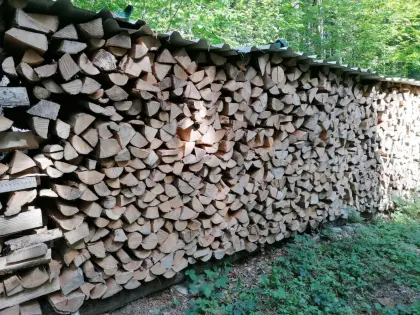 Scheiterholz
