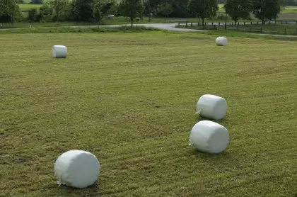 Siloballen, Strohballen