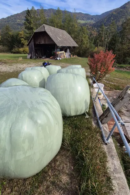 Silageballen