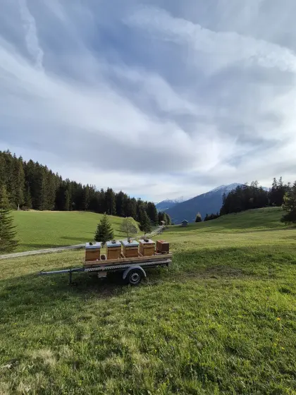 Wanderanhänger