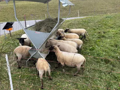 Patura Heudoppelraufe mit Kraftfuttertrog und Dach