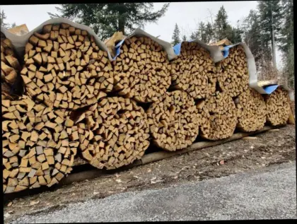 Brennholz