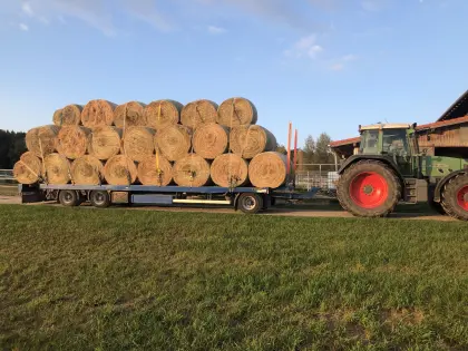 Heu 1. Schnitt, Pferdeheu, Heuballen, 2. Schnitt