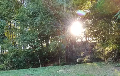 Wald zu verkaufen, Bezirk St. Pölten, Gemeinde Pyhra