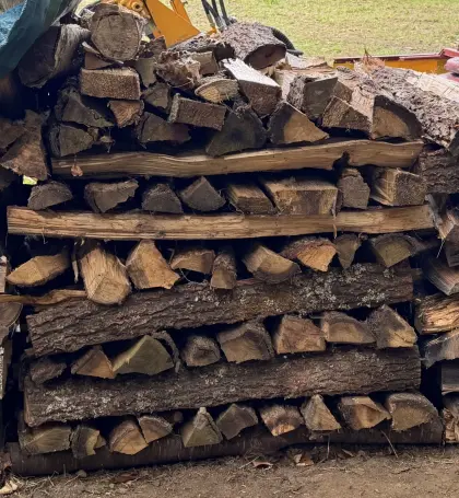 Brennholz 1 m