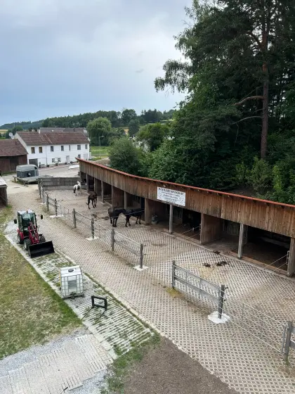 Einstellplätze frei, Offenstall und Paddock, MCC Ranch Waldv.