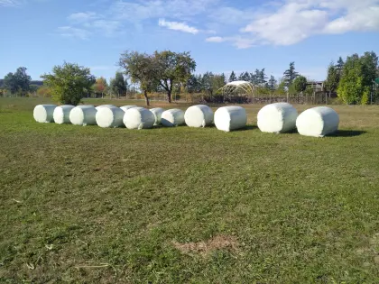 Silageballen