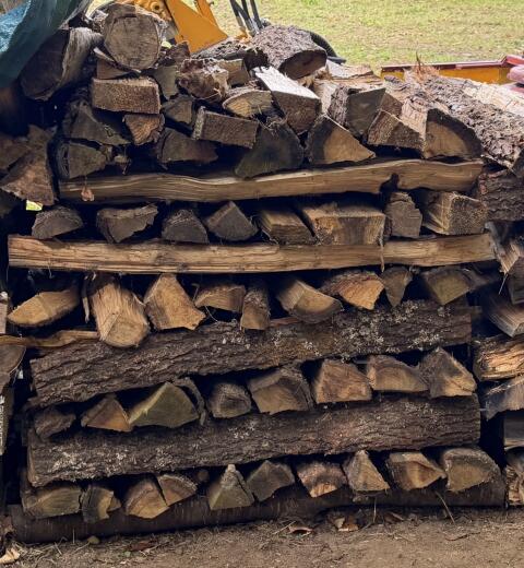 Brennholz 1 m