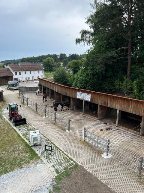 Einstellplätze frei, Offenstall und Paddock, MCC Ranch Waldv.