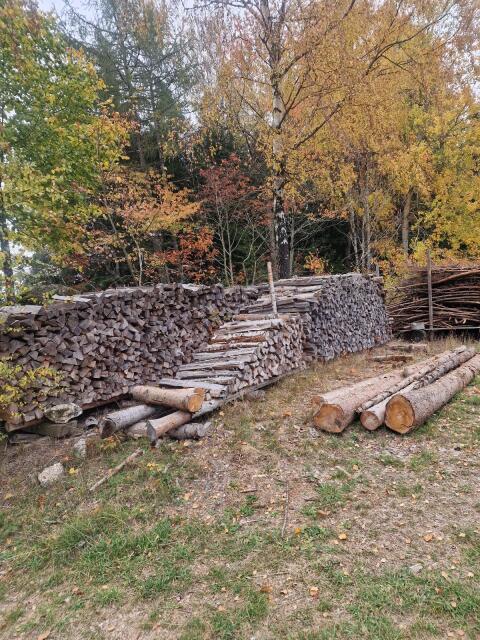 Brennholz Fichte 1 m