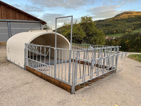 Kälberiglu