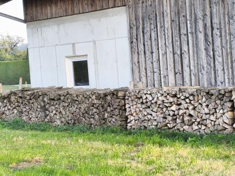 Brennholz Esche