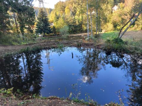 Fischteich mit Wald