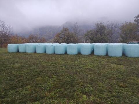Grassilageballen