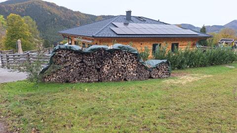 Brennholz-Scheiter