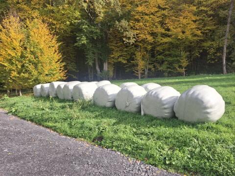 Siloballen und Heuballen