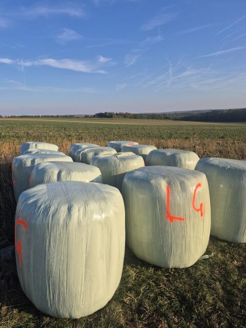 Bio Silageballen