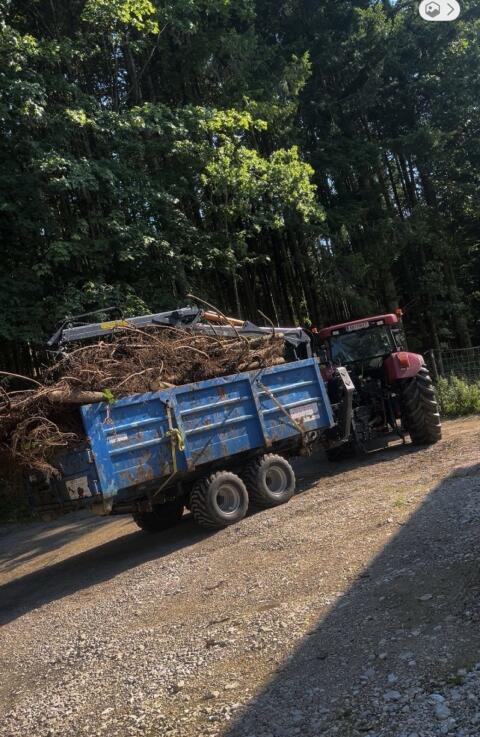 Astwanne-Container Rückewagen