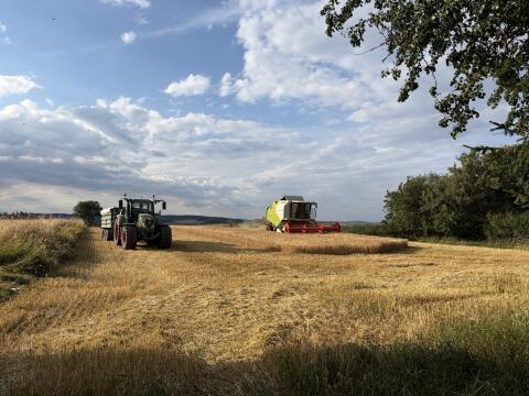 Landwirtschaftlicher Praktikumsplatz Sommer 2027