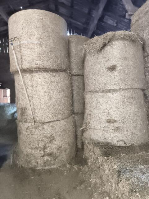 Heuballen