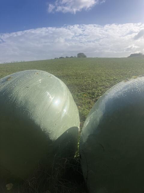 Silageballen Bio