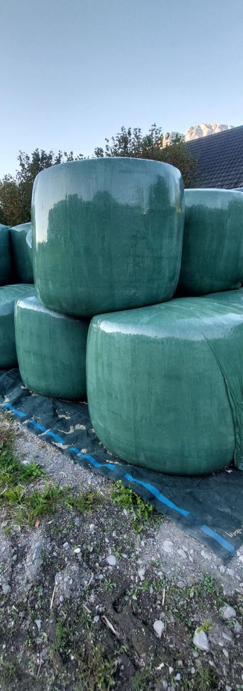 Maisballen