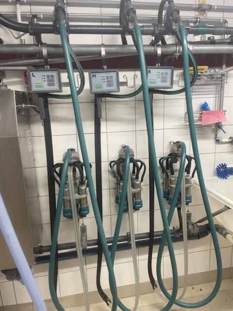Westfalia Rohrmelkanlage Stimopuls C