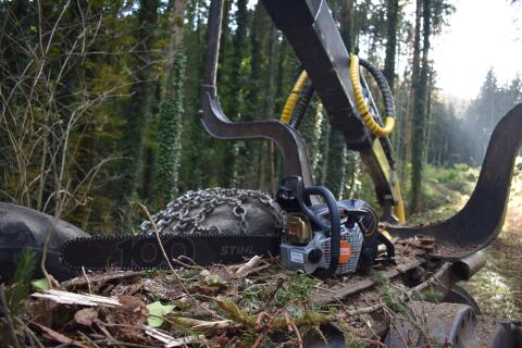 STIHL MS500i Centennial Edition