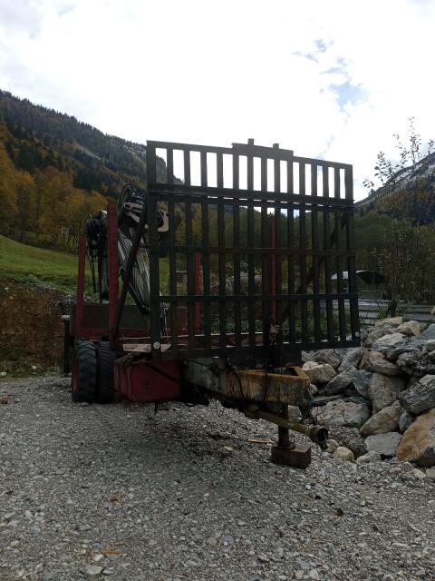 Holzanhänger Marke Eigenbau mit Penz Kran 9.100 Z
