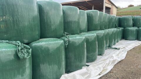 Maissilageballen