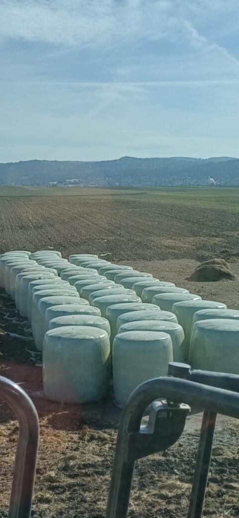 Maissilageballen 2026