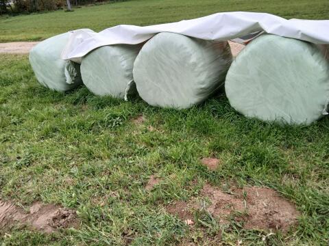 Gras-Siloballen