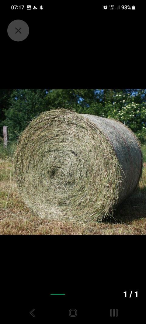 Suche Heuballen und Siloballen