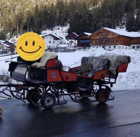 Pferdeschlitten kombiniert zu verkaufen