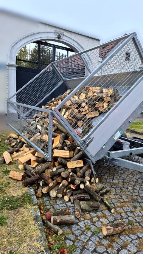 Brennholz trocken