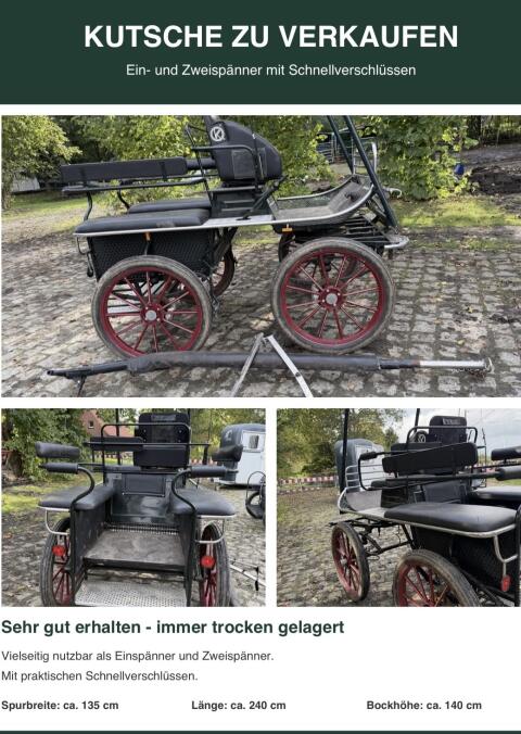 Kutsche Marathonwagen