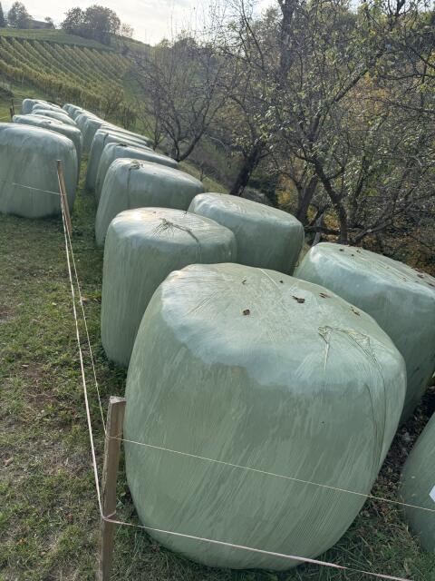 Bio Grassiloballen