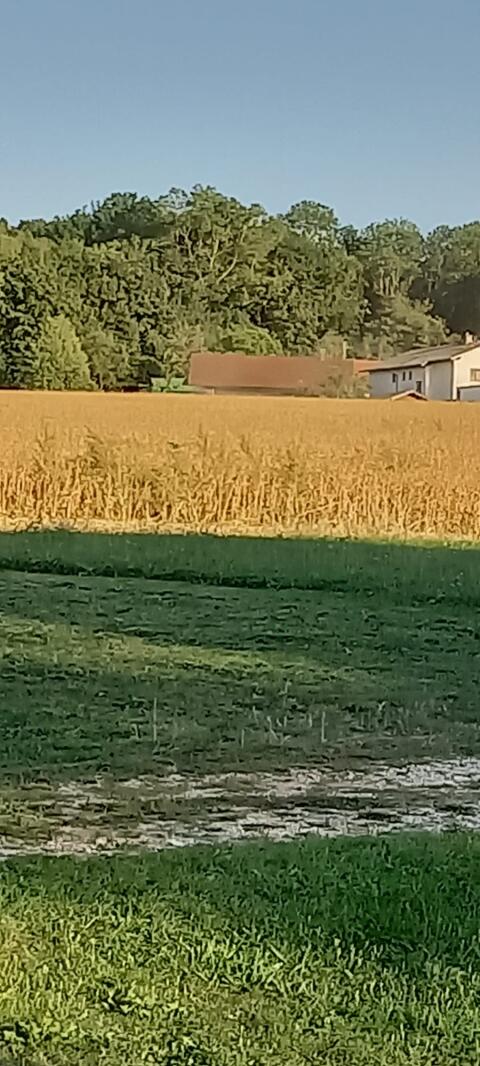 Ackergrund, ca. 3,0 bis 3,5 ha zu verkaufen