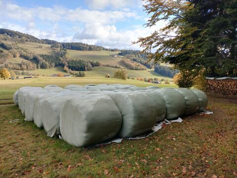 Verkaufe Siloballen