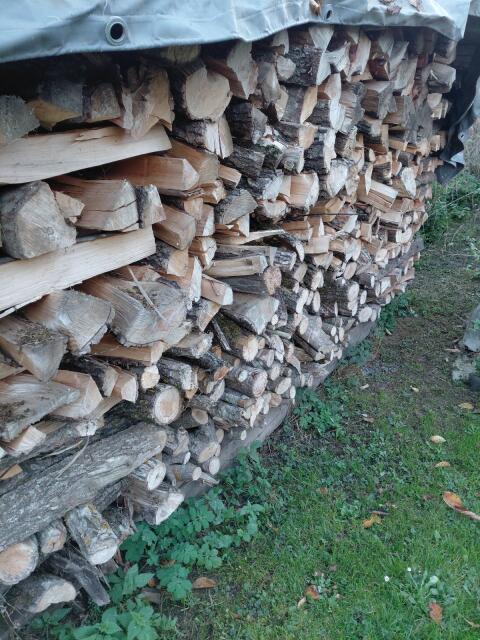 Brennholz