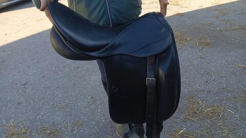 Stübben Dressursattel Excalibur