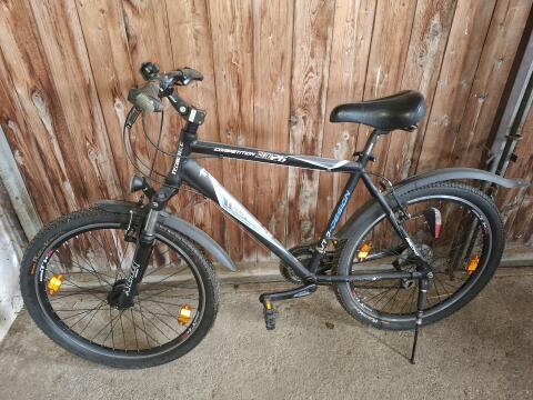 Damen-, Herrenbike