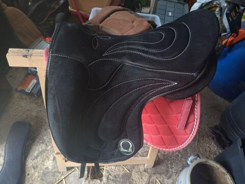 Signum Omega Paddle Dressur, Größe L (schwarz)