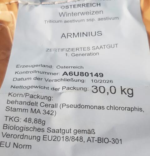 Bio-Winterweizen Arminius Saatgut