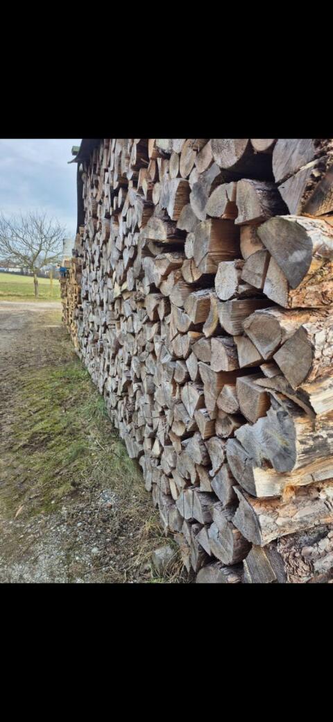 Brennholz