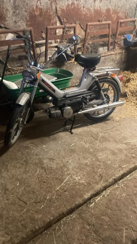 Moped