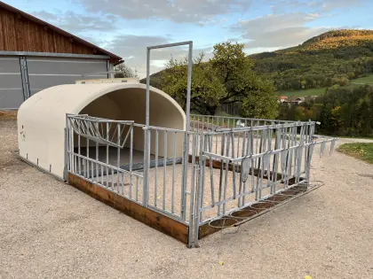 Kälberiglu