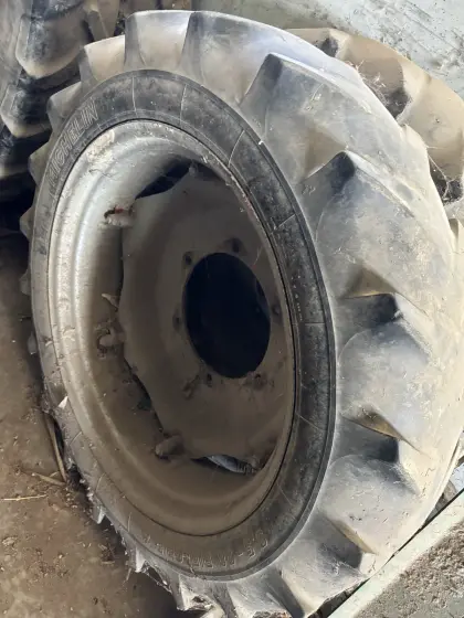 Massey Ferguson 3065 Pflegebereifung