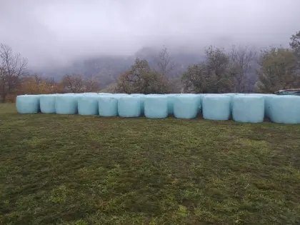 Grassilageballen