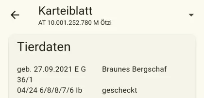 Kugelscheckiger HB Bergschafwidder